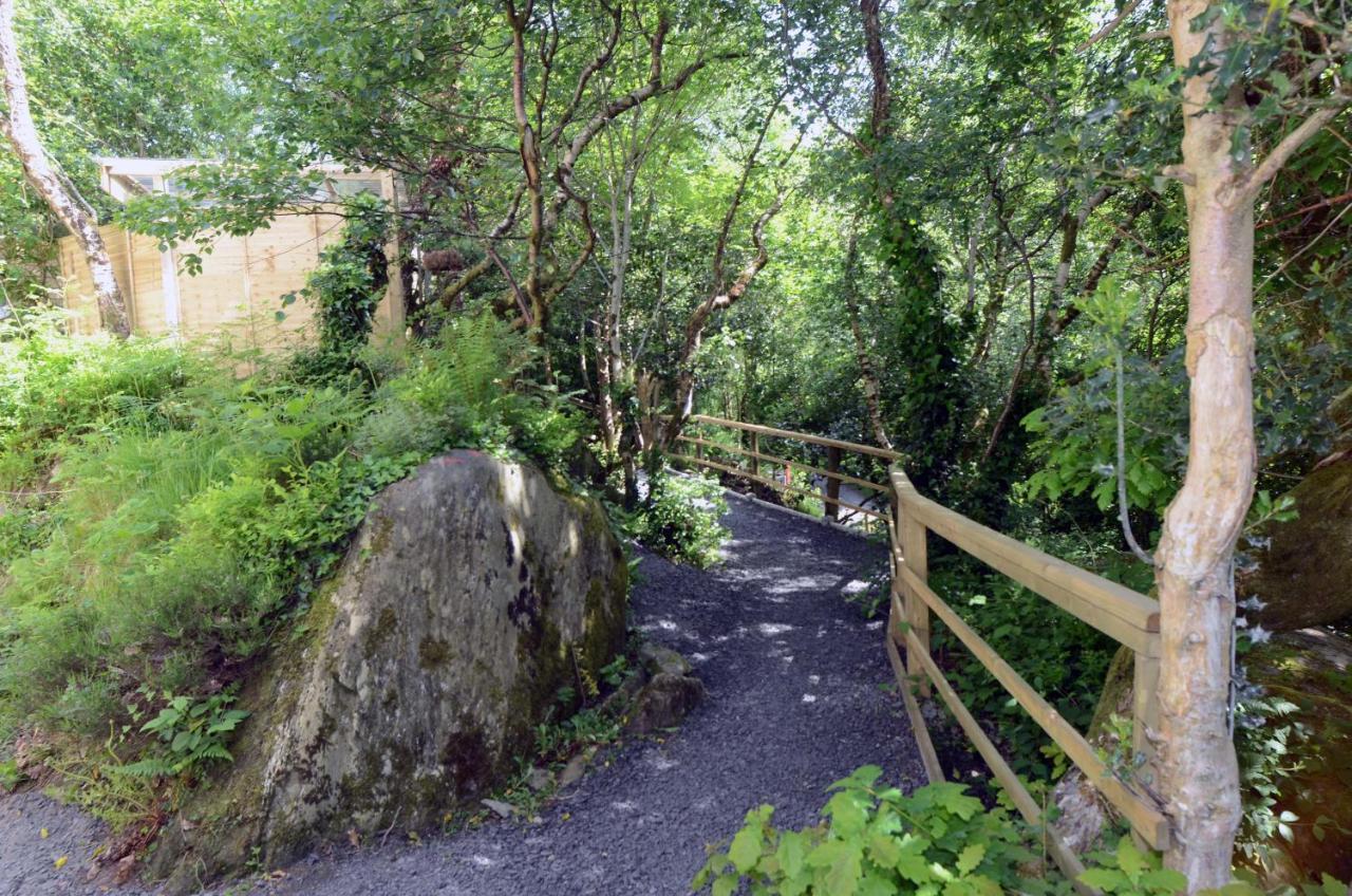 Tawny Lodge Westport Kültér fotó