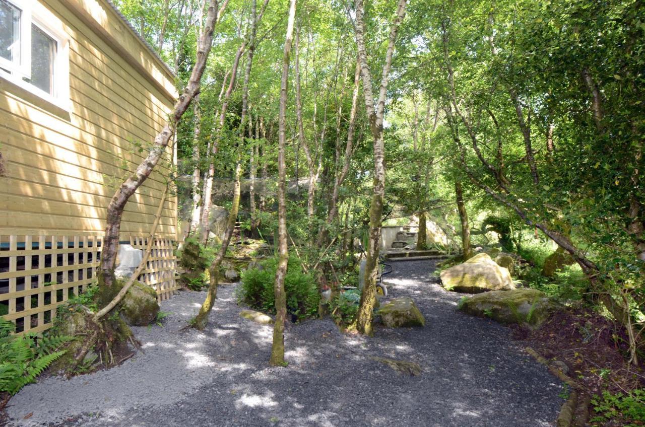 Tawny Lodge Westport Kültér fotó