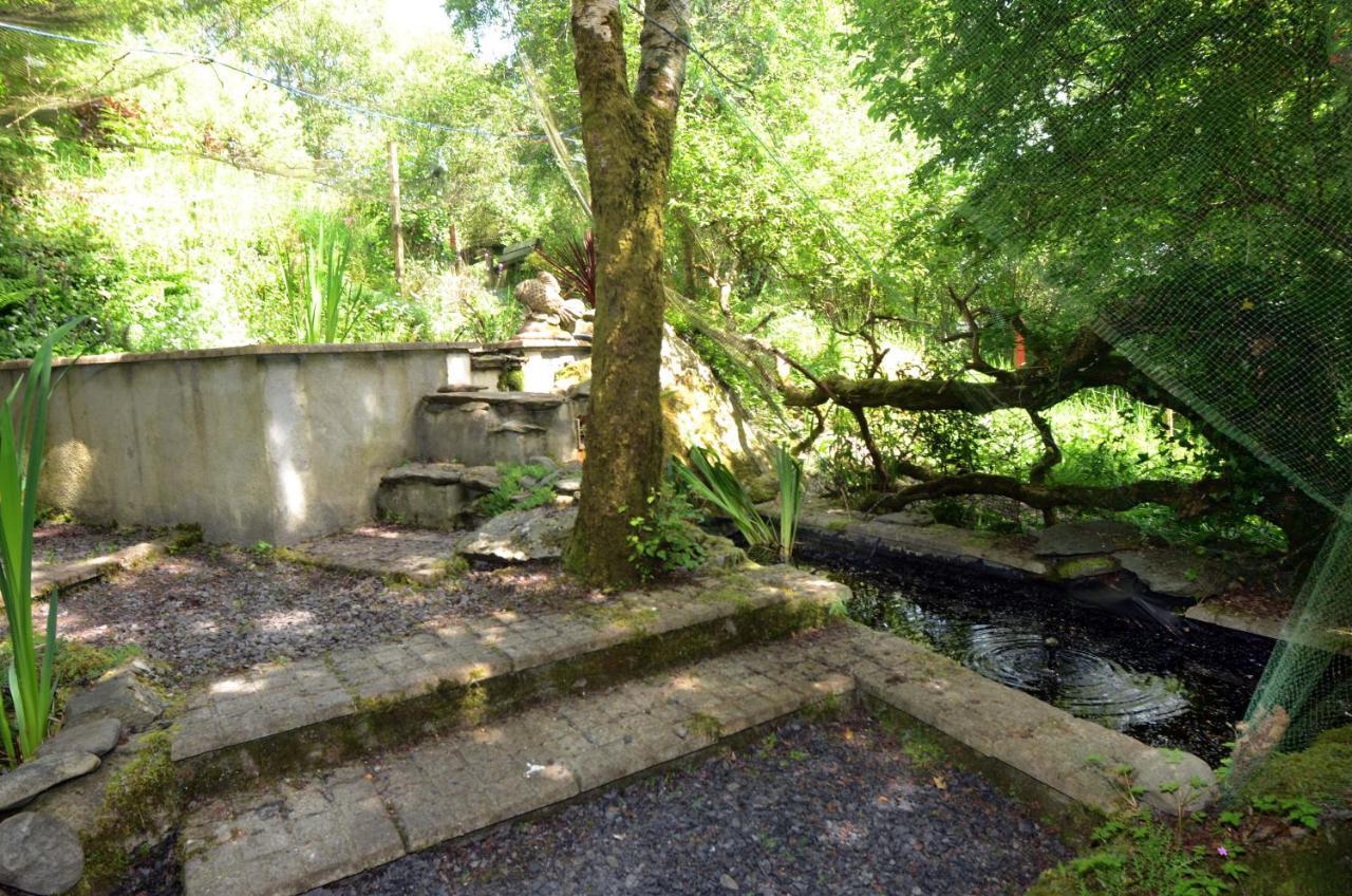 Tawny Lodge Westport Kültér fotó